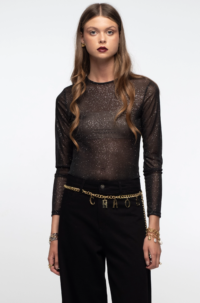 w25104-glittering_1_